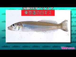 日韩有码